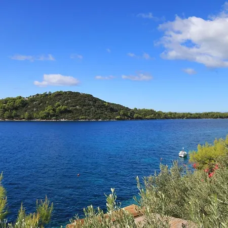 By The Sea Karbuni, Korcula - 9308 Apartman *