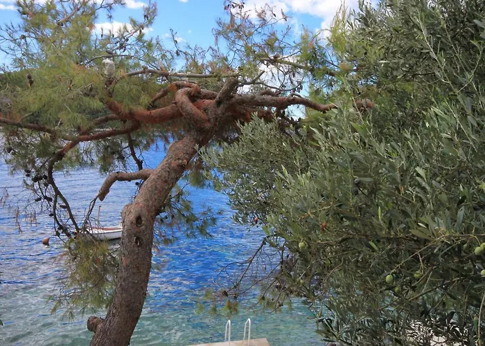 Apartmán By The Sea Karbuni, Korcula - 9308 *